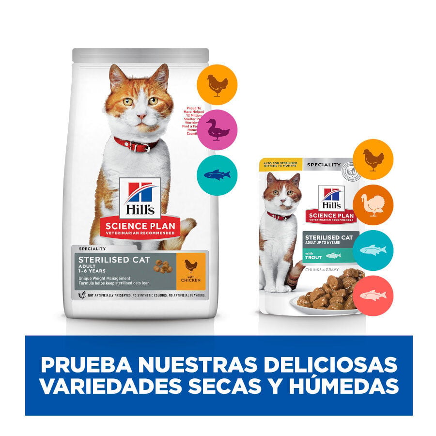 85 g Hill's Science Plan Sterilised Young Adult Trucha Sobre en Salsa para gatos, , large indicador imagen numero 8