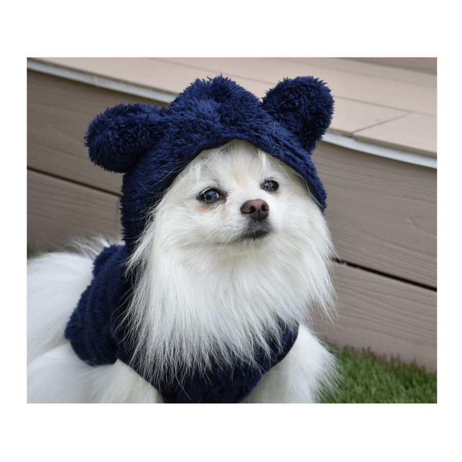 Nayeco Alaska Chaqueta Azul Marino para perros, , large indicador imagen numero 2