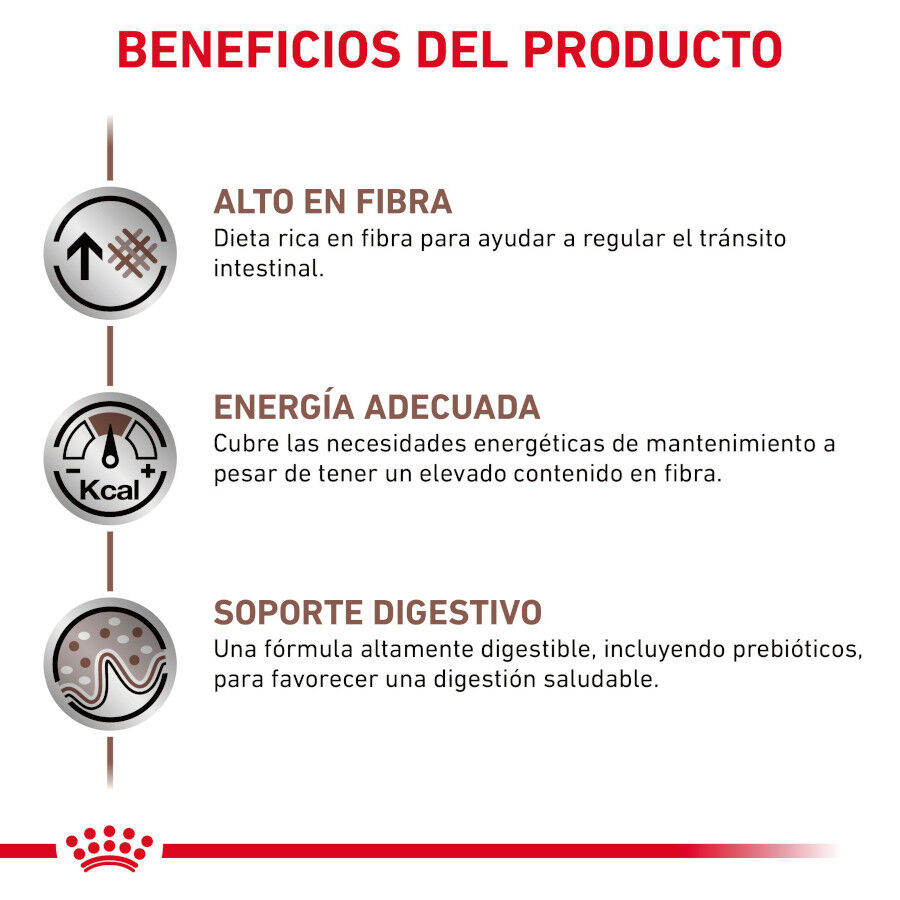 410 g Royal Canin Gastrointestinal High Fibre Pat&eacute; Lata para perros, , large indicador imagen numero 3