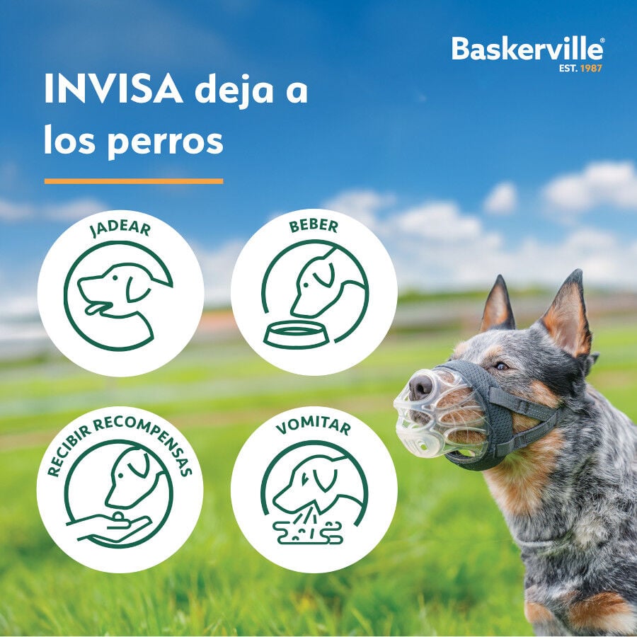 Baskerville Invisa bozal moldeable para perros, , large Imagen numero 4