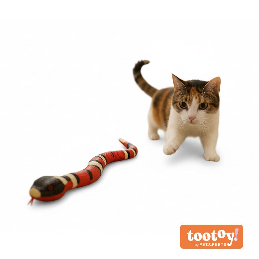 Tootoy! Serpiente Interactiva con Movimiento para gatos, , large indicador imagen numero 11