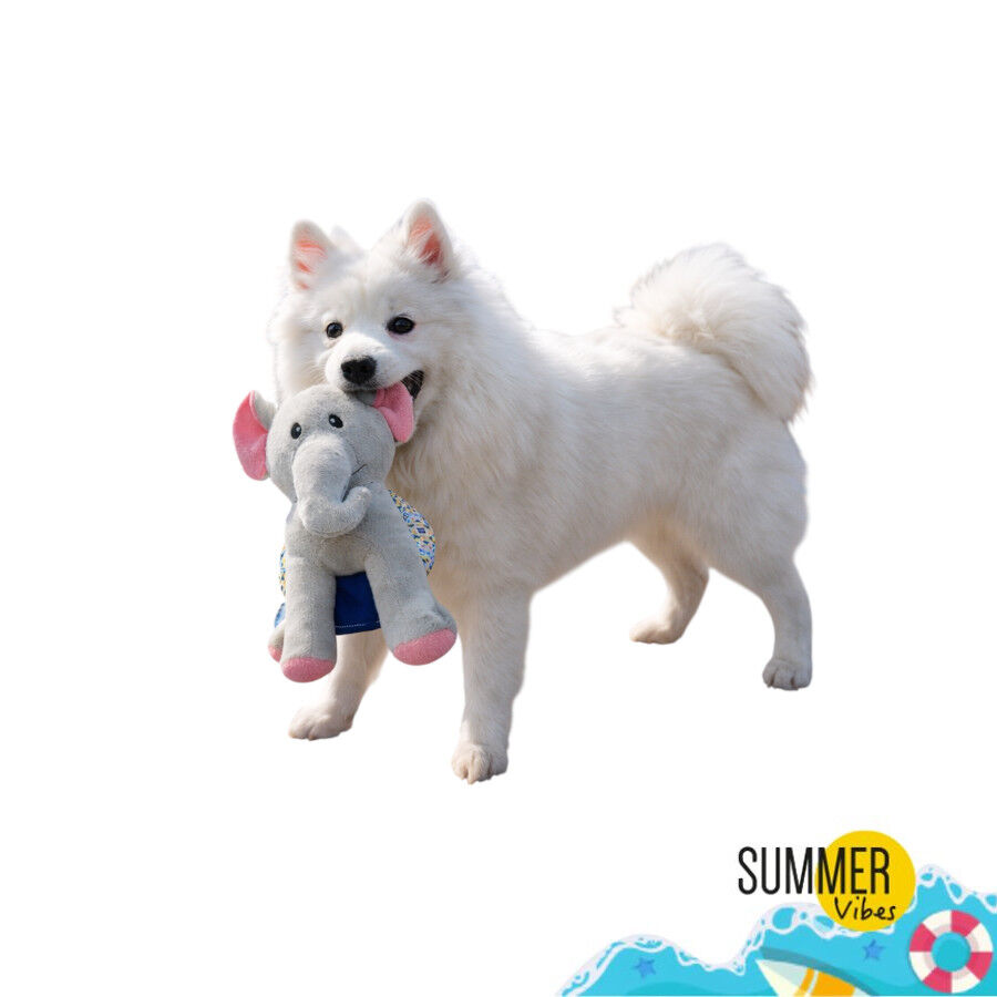 Summer Vibes Elefante Dolce Vita  Peluche para perros, , large indicador imagen numero 6