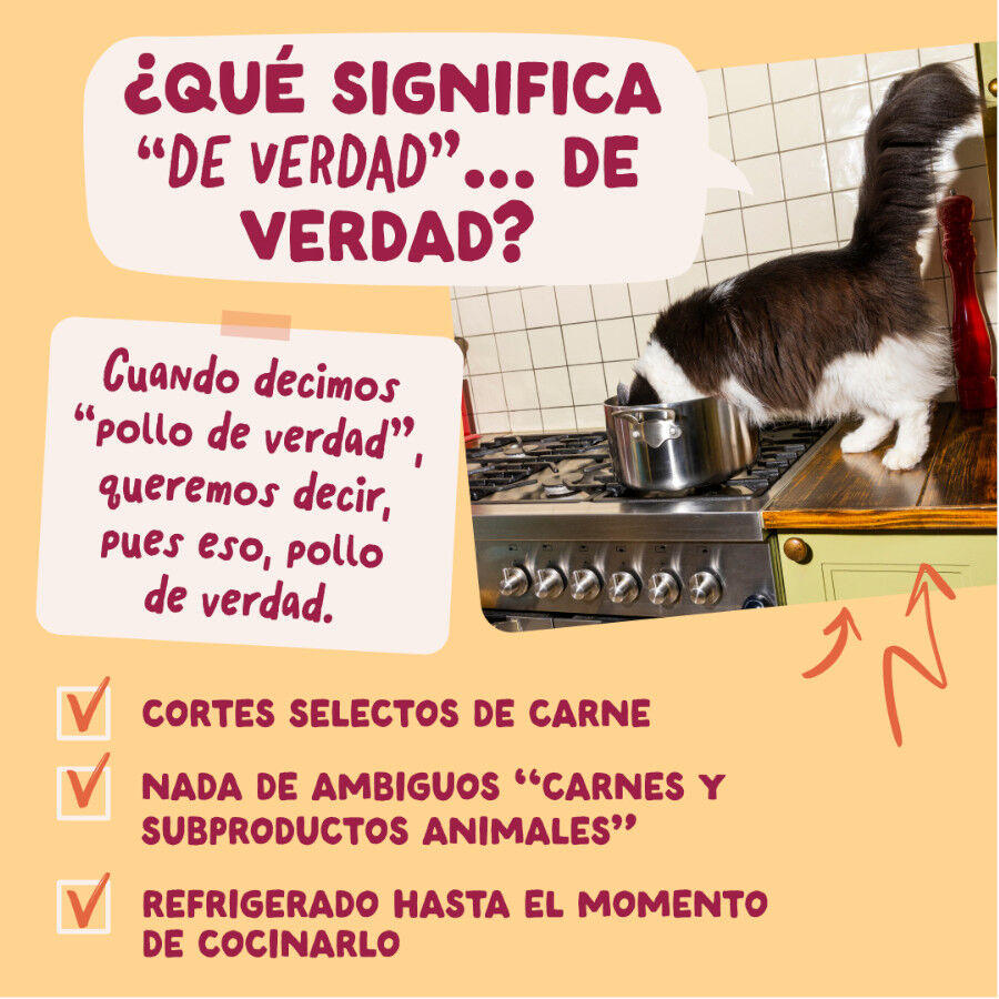 85 g Edgard & Cooper Pollo sobre en salsa para gatos, , large Imagen numero 5