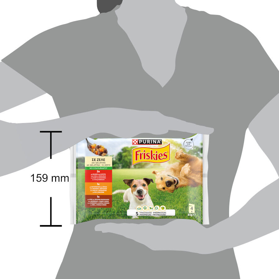 12 sobres x 85 g Friskies Pollo y Cordero en Gelatina sobre para perros, , large indicador imagen numero 2