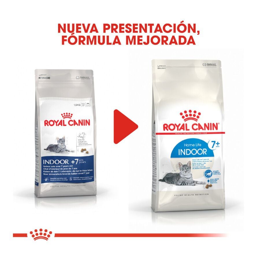 3.5 kg Royal Canin Home Life Indoor 7+ pienso para gatos, , large indicador imagen numero 3