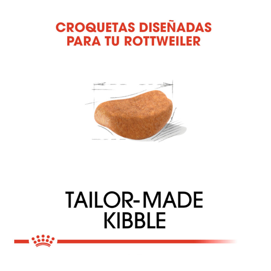 12 kg Royal Canin Adult Rottweiler pienso para perros, , large indicador imagen numero 5