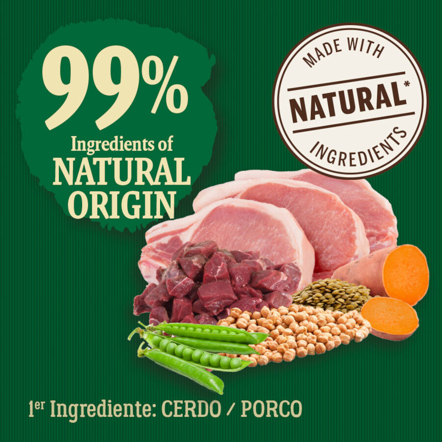 True Origins Wild Maxi Farm Cerdo pienso para perros, , large indicador imagen numero 3