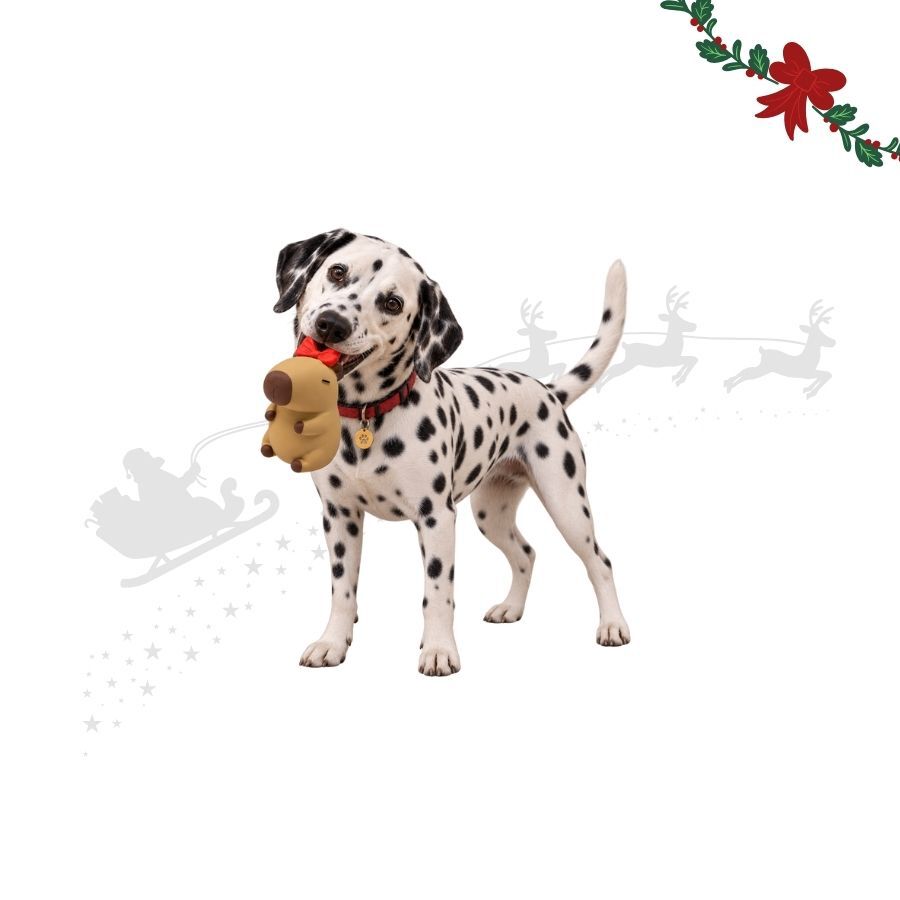 Wonder Christmas Capibara L&aacute;tex Peluche para perros, , large indicador imagen numero 1