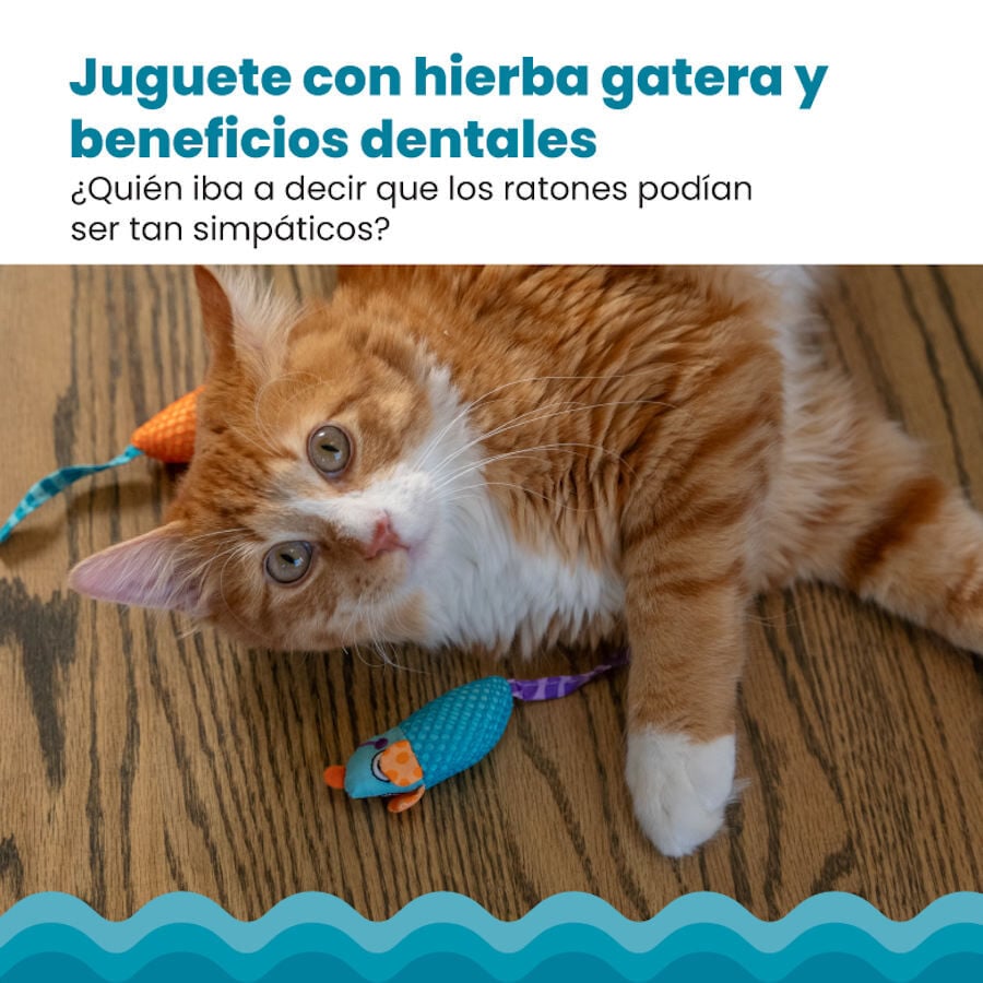 Catstages Chew Rat&oacute;n con Catnip para gatos, , large indicador imagen numero 6