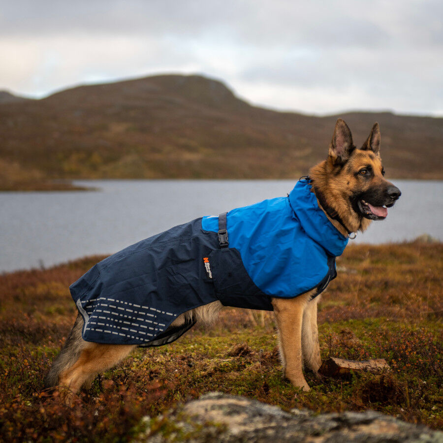 Non-stop dogwear Fjord Chubasquero Impermeable Azul para perros, , large Imagen numero 6