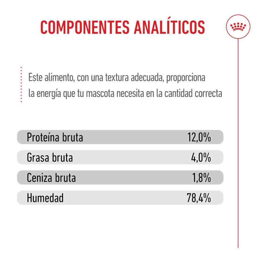 85 g Royal Canin Kitten pat&eacute; sobre para gatos, , large indicador imagen numero 9