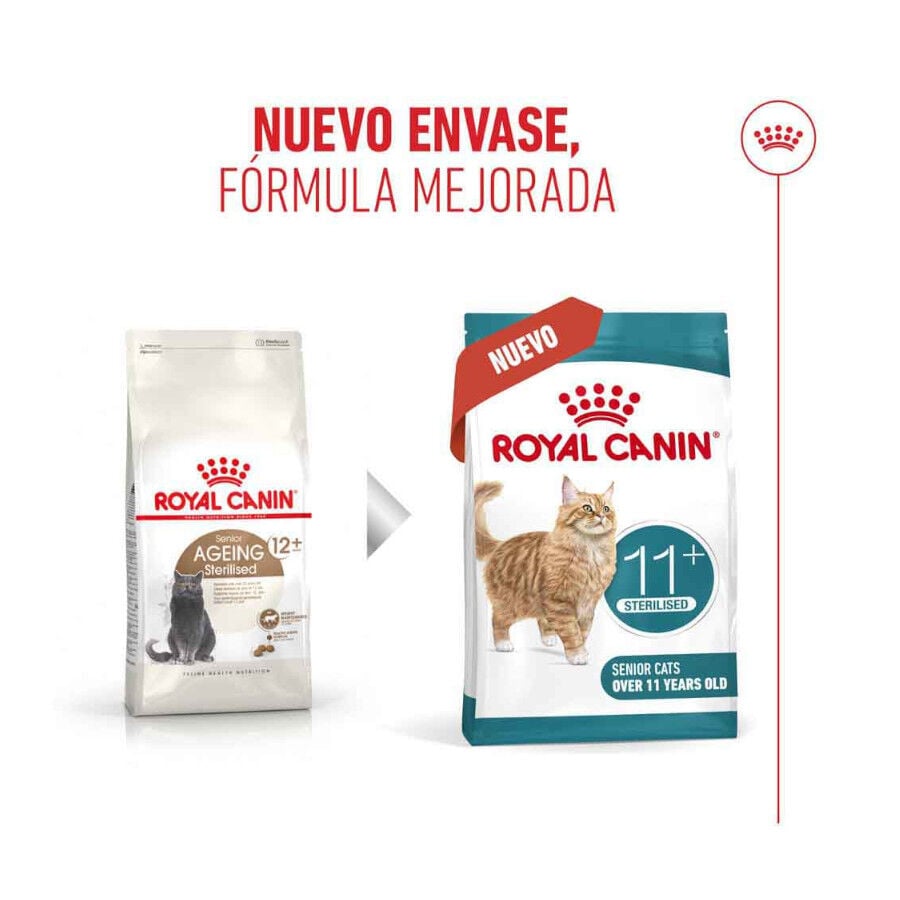 2 kg Royal Canin Ageing 11+ Sterilised pienso para gatos&nbsp;senior, , large indicador imagen numero 3