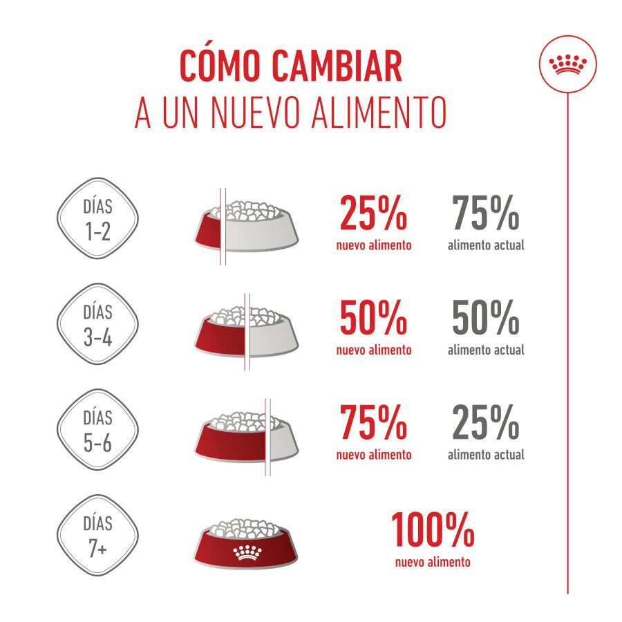 4 kg Royal Canin Kitten pienso para gatos, , large indicador imagen numero 6