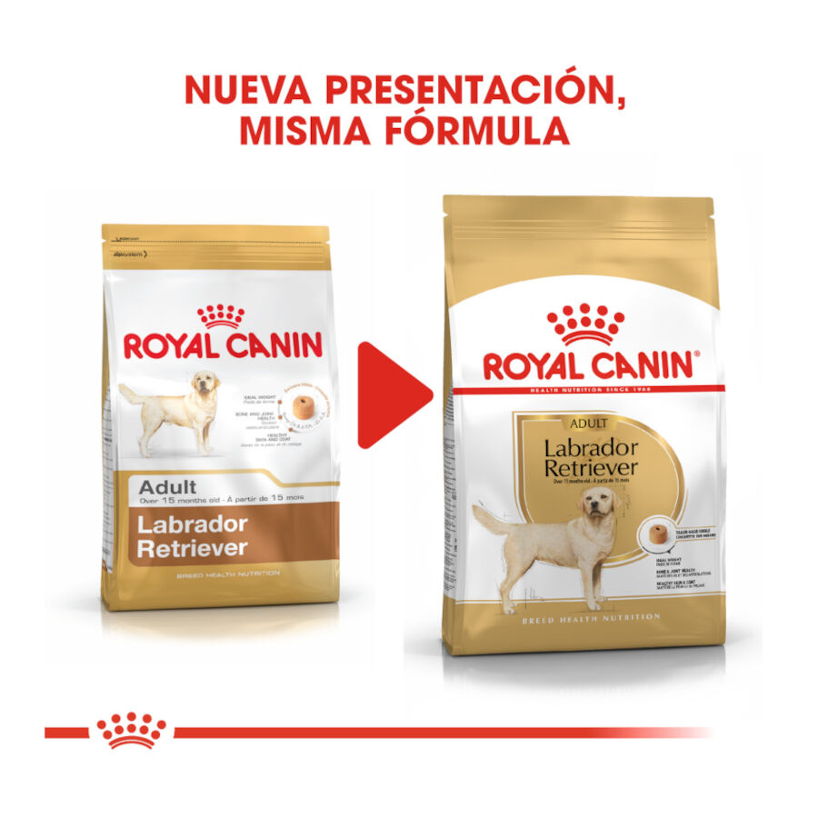 12 kg Royal Canin Adult Labrador Retriever pienso para perros, , large indicador imagen numero 3