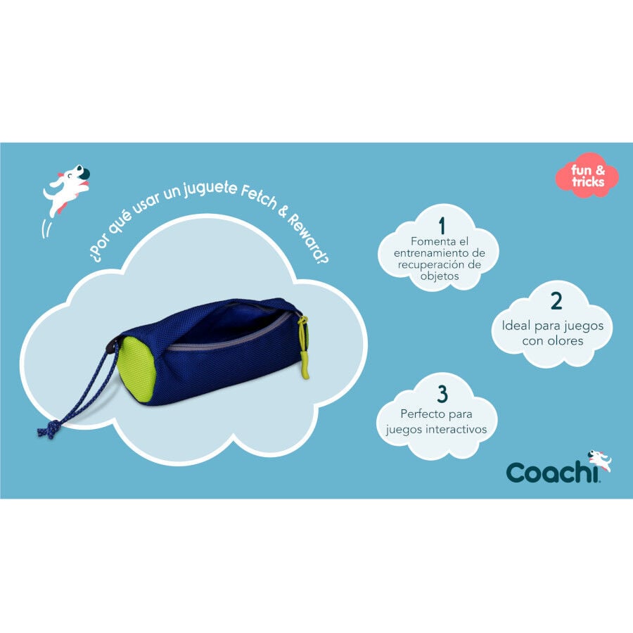 Coachi FetchReward juguete de adiestramiento para perros, , large indicador imagen numero 5
