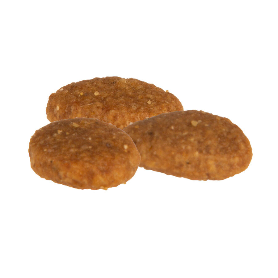 12 kg Criadores Mestizo Pavo pienso para perros medianos, , large indicador imagen numero 2