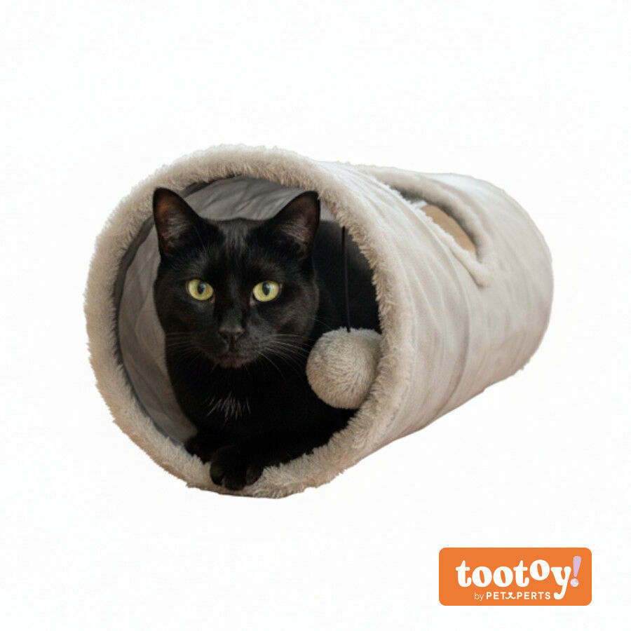 Tootoy! Tunnel con Juguete para gatos, , large Imagen numero 9