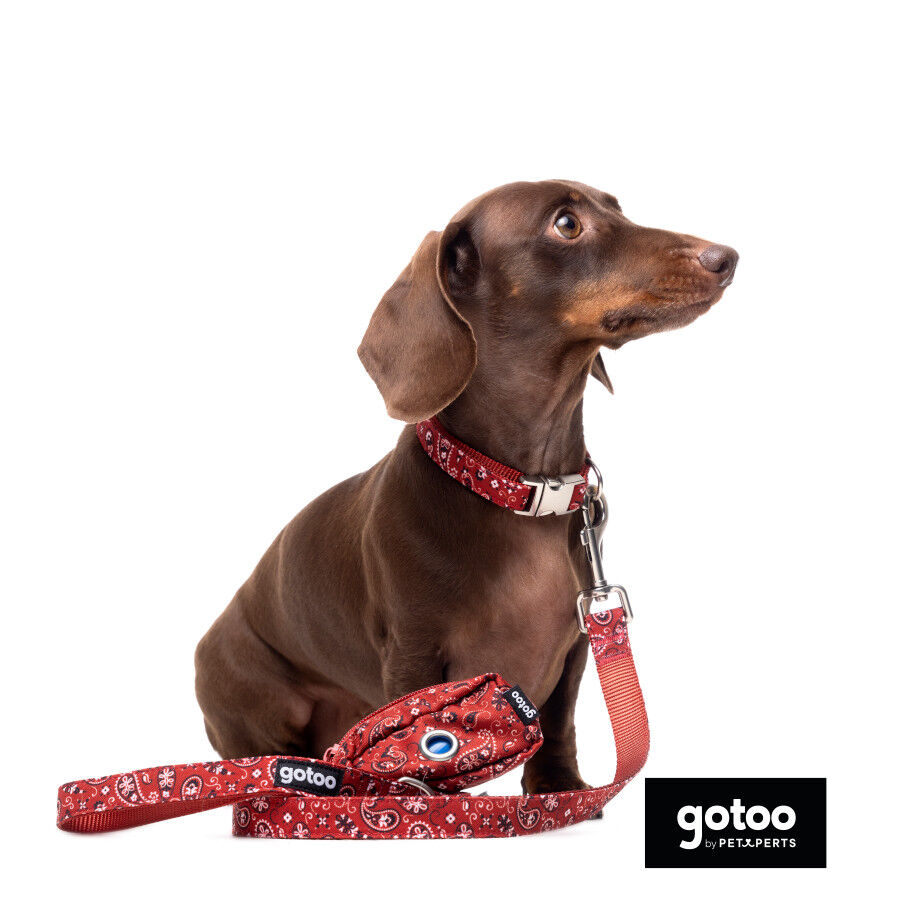 Gotoo Correa estampada cachemira rojo para perro, , large indicador imagen numero 6
