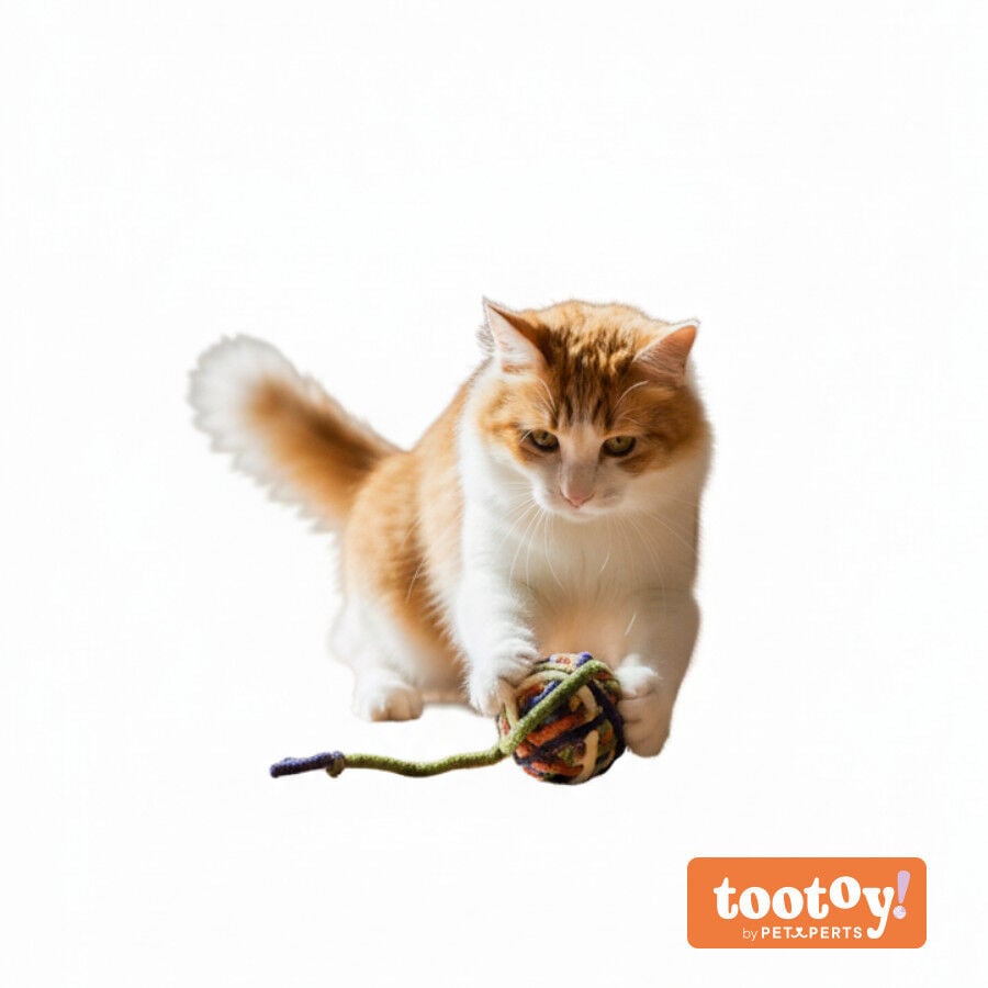 Tootoy! Ovillo de Lana para gatos