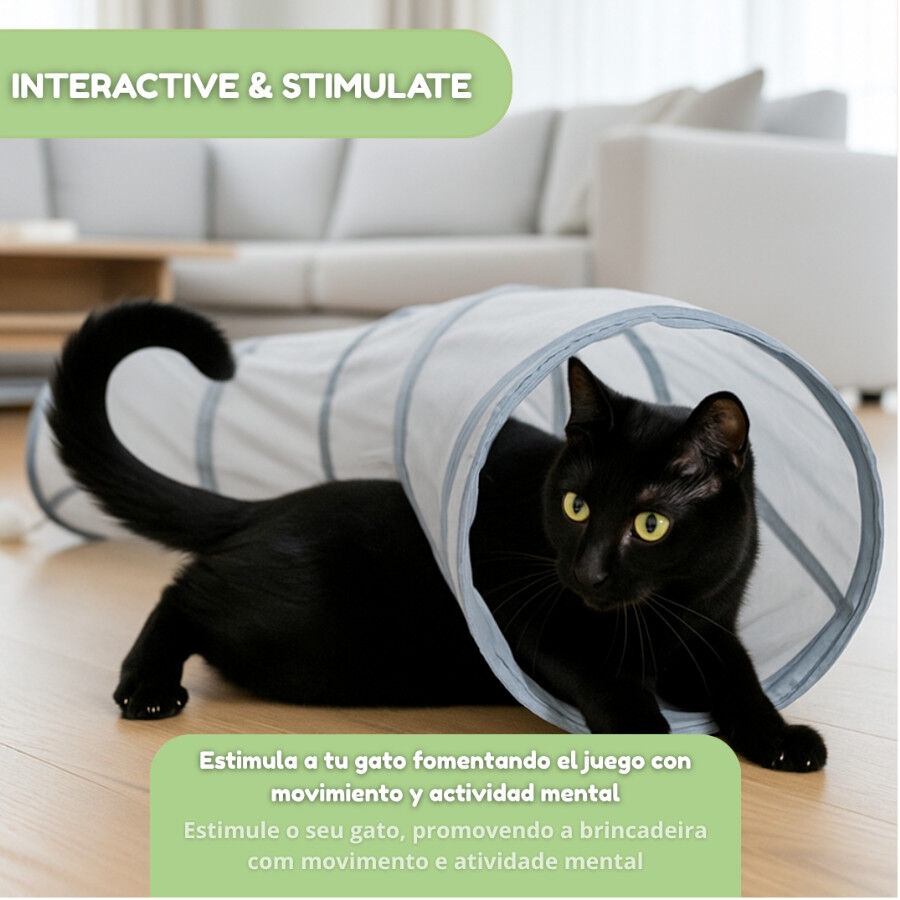 Tootoy! Tunel de Tela con Juguete para gatos, , large indicador imagen numero 5