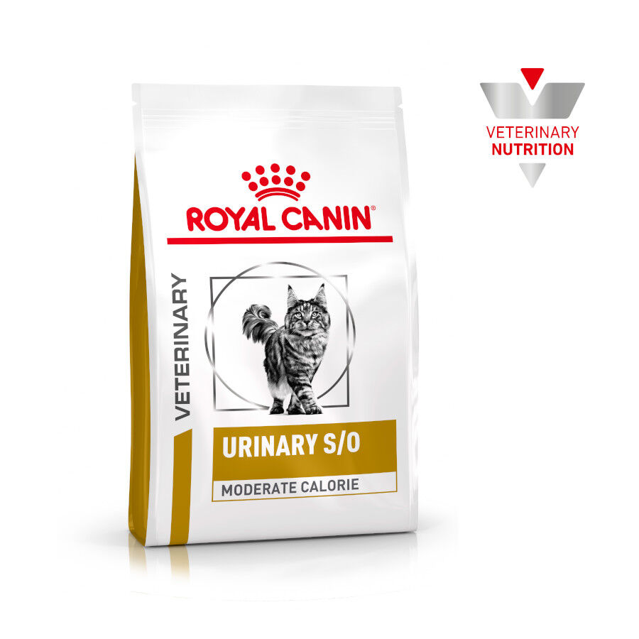 9 kg Royal Canin Veterinary Urinary Moderate Calorie pienso para gatos, , large Imagen numero 2