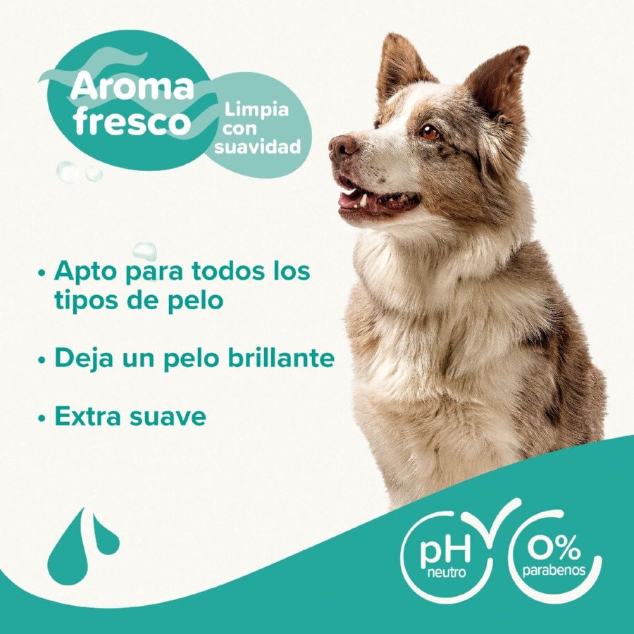 Beaphar Universal Champ&uacute; para perros, , large Imagen numero 3
