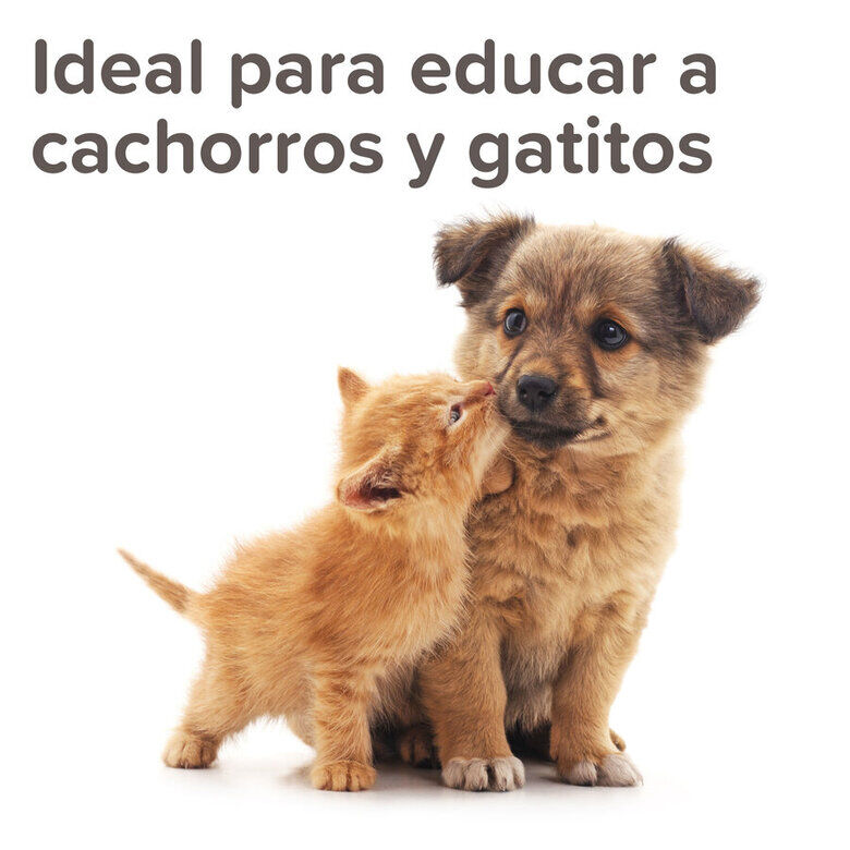 Beaphar Spray Educador para Exterior para perros y gatos, , large Imagen numero 5