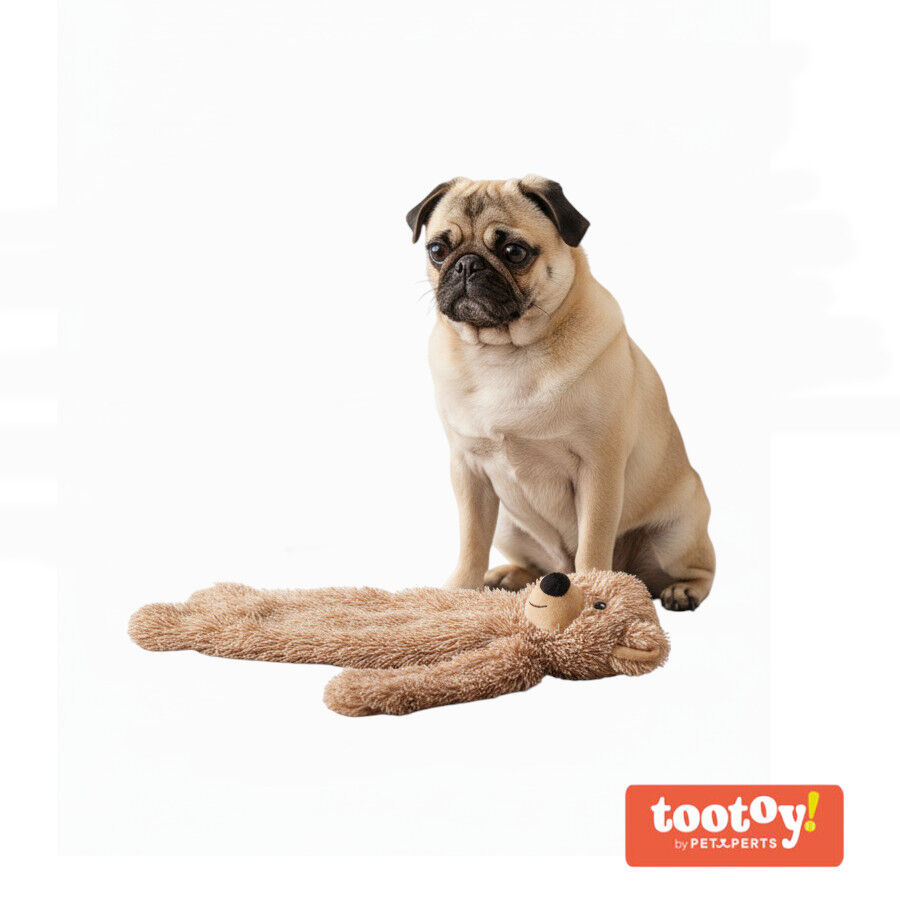 Tootoy! Oso de Peluche con Sonido para perros, , large Imagen numero 8