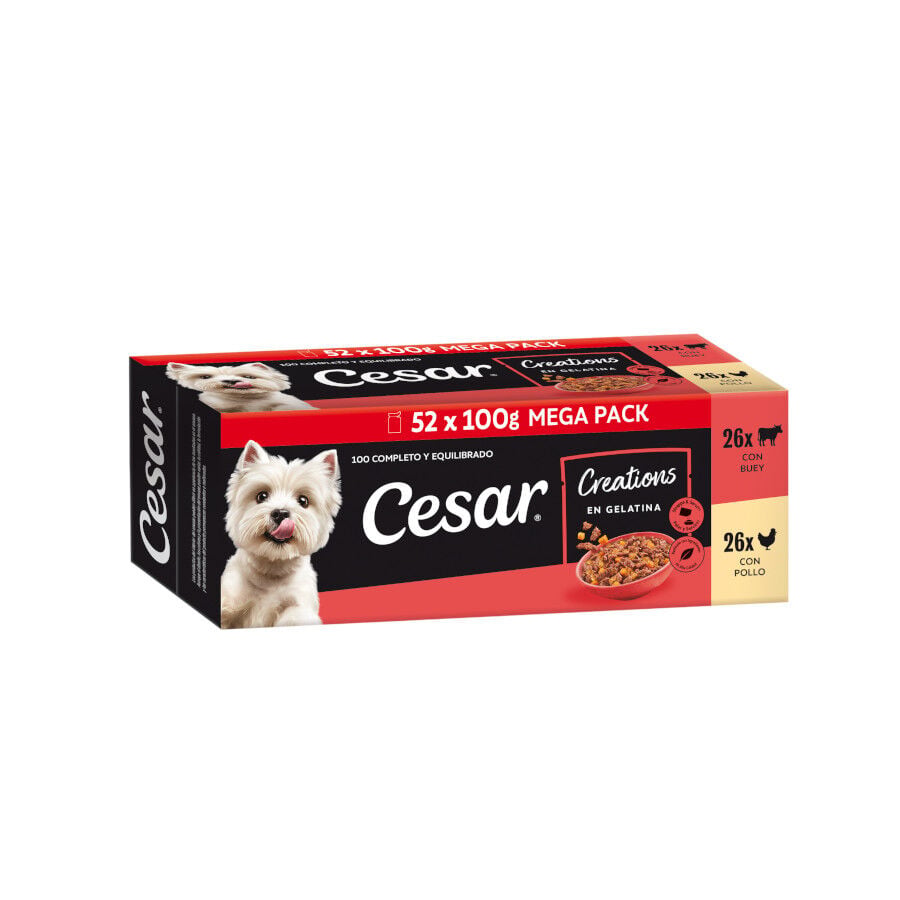 52 sobres x 100 g Cesar Selecci&oacute;n en Gelatina Pollo y Buey sobres para perros - Multipack, , large Imagen numero 1
