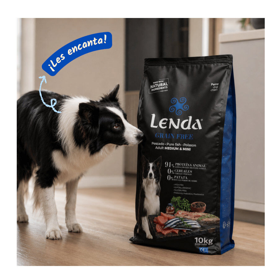 10 kg Lenda Grain Free Pescado y Krill pienso para perros, , large indicador imagen numero 5