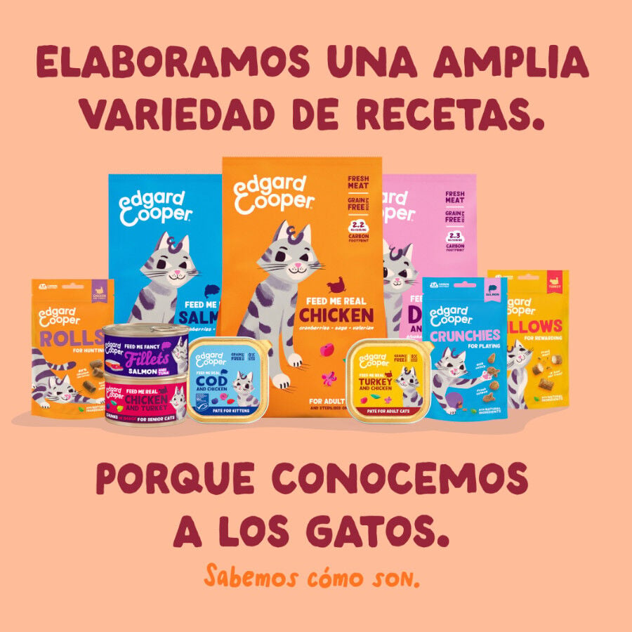 70 g Edgard & Cooper Filetes de Pollo Lata para gatos, , large indicador imagen numero 8