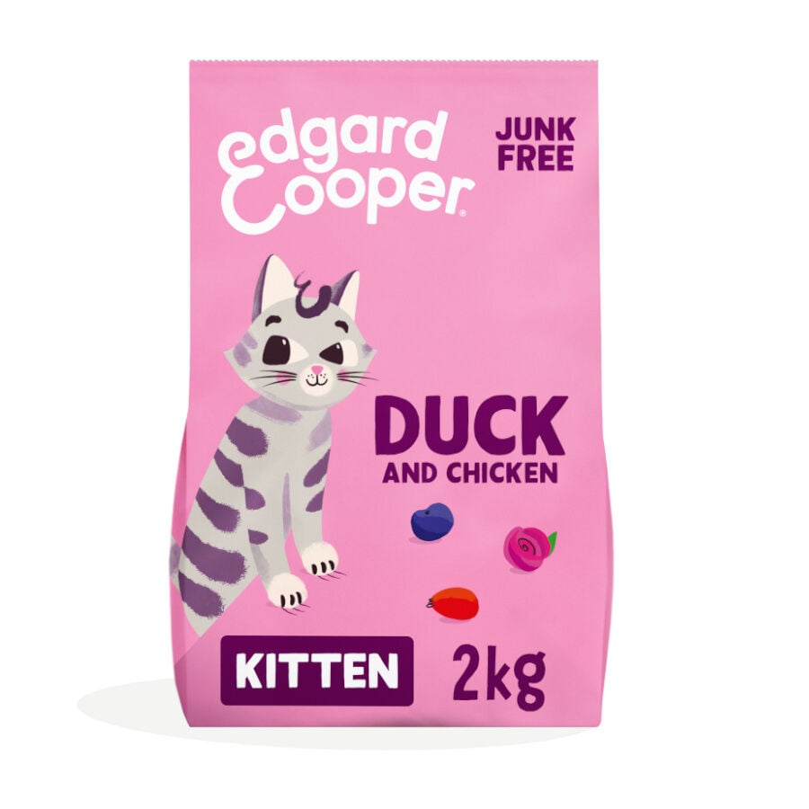 2 kg Edgard & Cooper Kitten Pato y Pollo pienso, , large Imagen numero 1