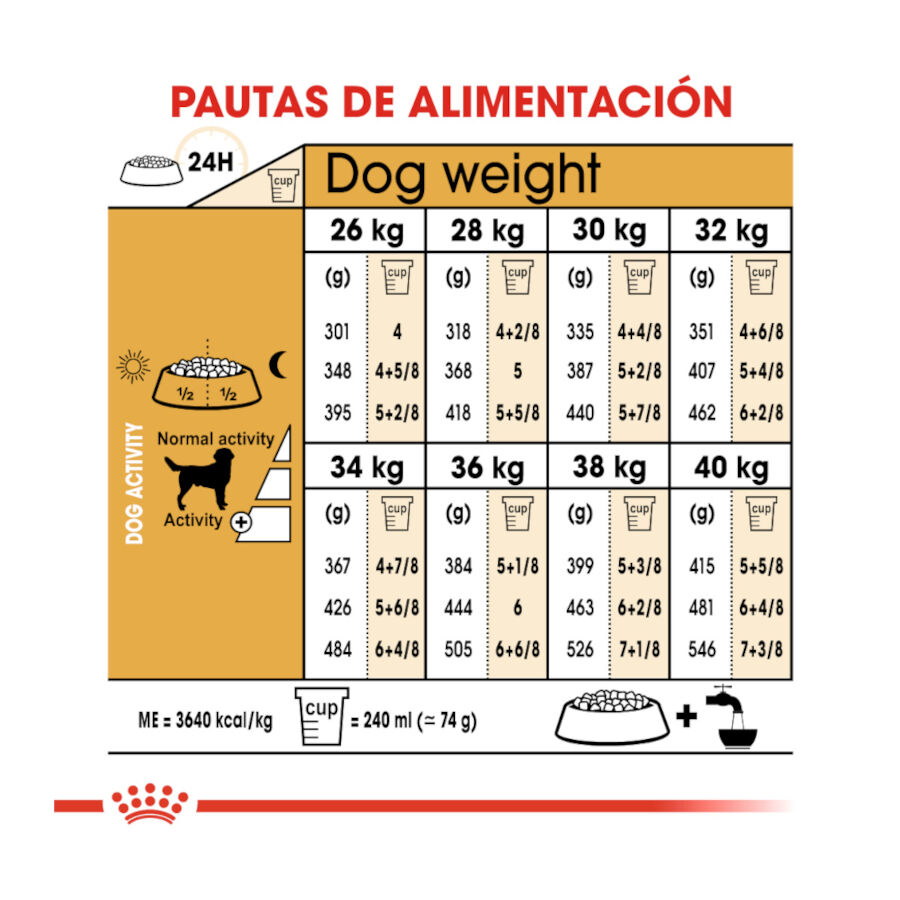 12 kg Royal Canin Adult Labrador Retriever pienso para perros, , large indicador imagen numero 8