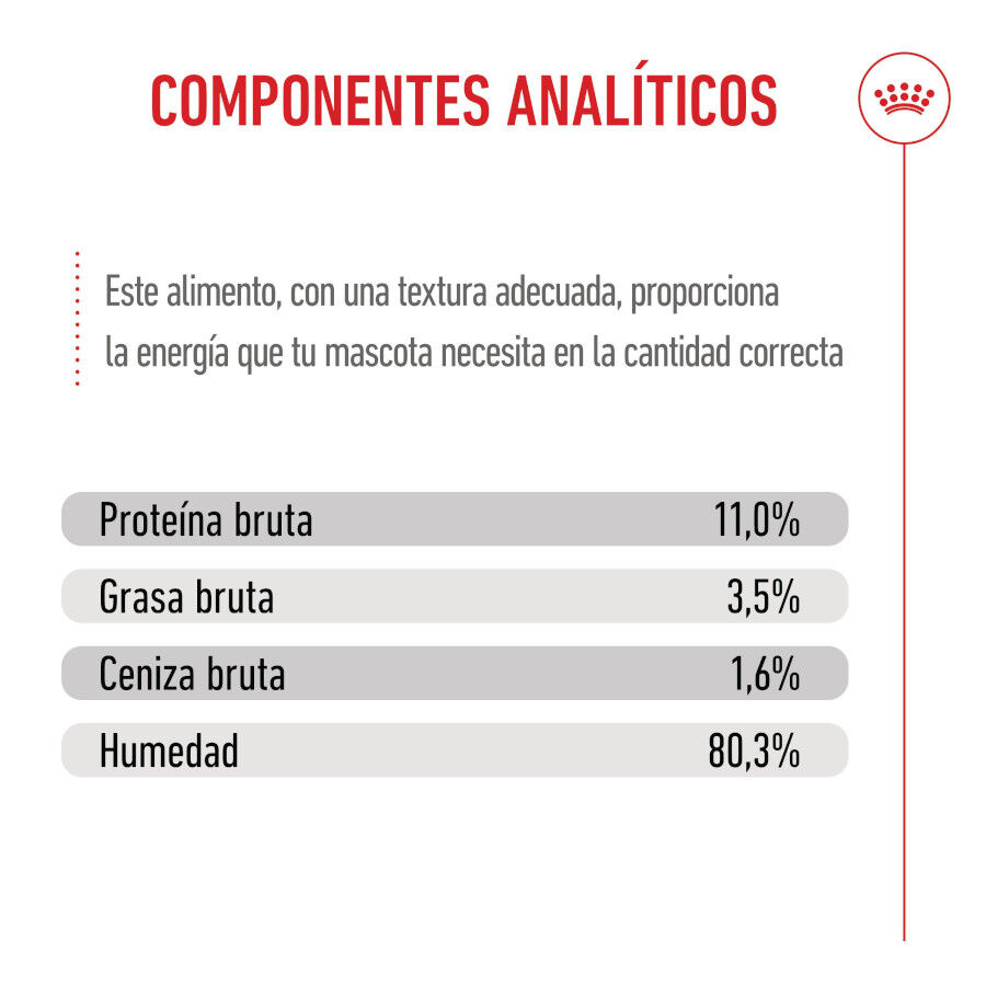 85 g Royal Canin Kitten Sterilised salsa sobre para gatos, , large indicador imagen numero 9