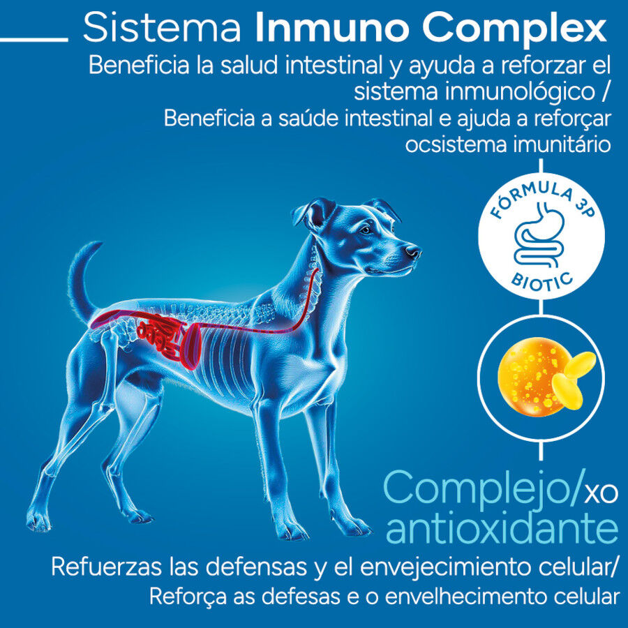 3 kg Criadores Cient&iacute;fico Sensitive Adulto Mini Pienso Salm&oacute;n para perros, , large indicador imagen numero 3