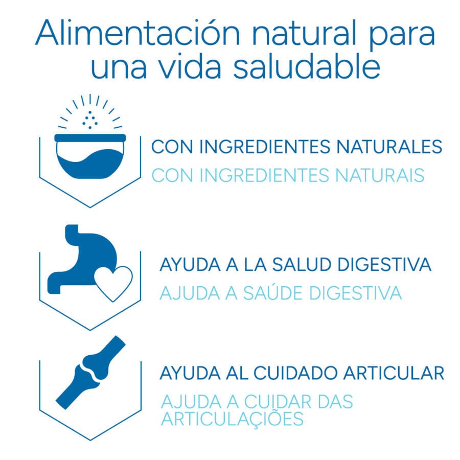 3 kg Criadores Cient&iacute;fico Adulto Mini Pienso Pollo para perros, , large indicador imagen numero 6