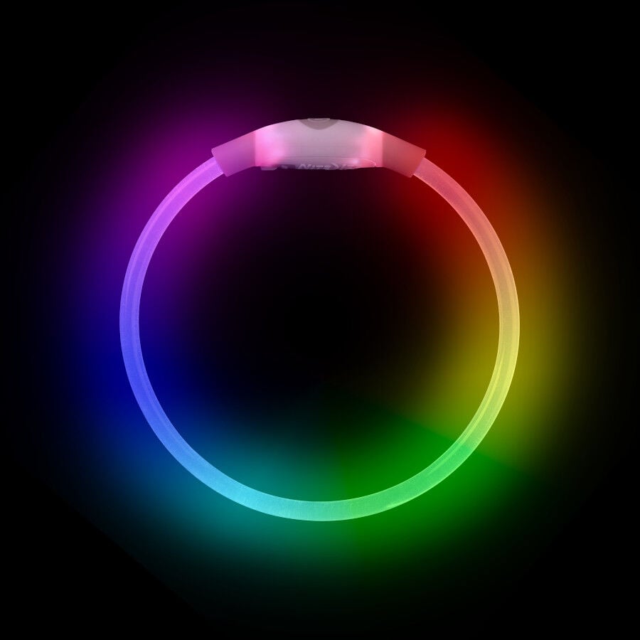 Nite Ize Nite Howl Disc-O-Select LED Mini Collar para perros, , large Imagen numero 1
