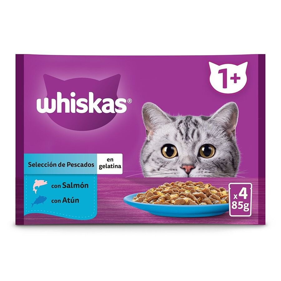 Whiskas Salm&oacute;n y At&uacute;n Gelatina en Bolsita para Gatos Adultos