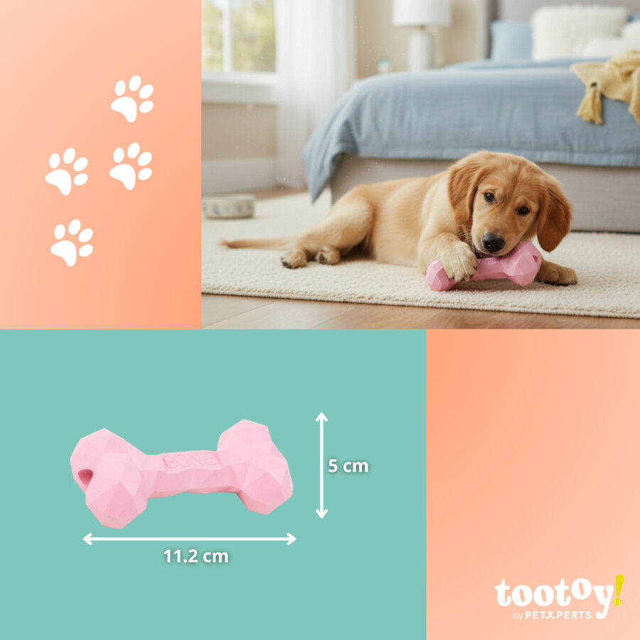 Tootoy! Hueso Mordedor de Goma Rosa para cachorros, , large Imagen numero 4
