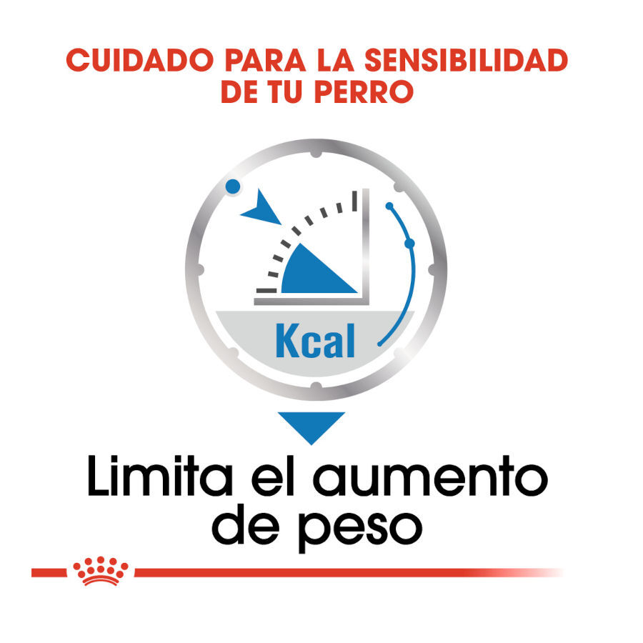 85 g Royal Canin Light Weight Care Sobres Pat&eacute; para perros, , large indicador imagen numero 5