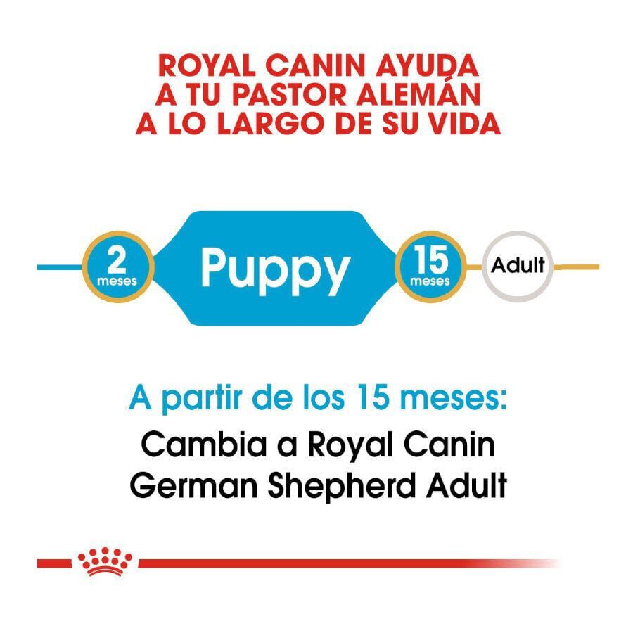 3 kg Royal Canin Puppy Pastor Alem&aacute;n pienso para perros, , large indicador imagen numero 7