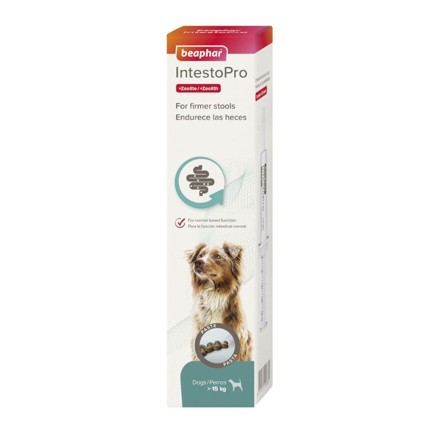 20 ml Beaphar IntestoPro pasta para perros, , large indicador imagen numero 1