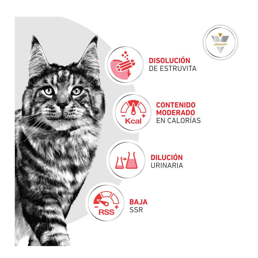 9 kg Royal Canin Veterinary Urinary S/O Moderate Calorie pienso para gatos, , large Imagen numero 5