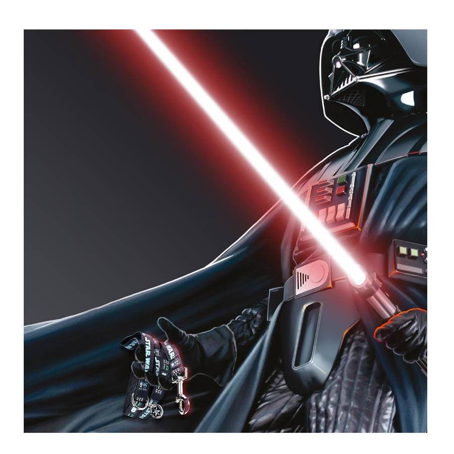 Disney Star Wars Correa Estampado para perros, , large indicador imagen numero 4