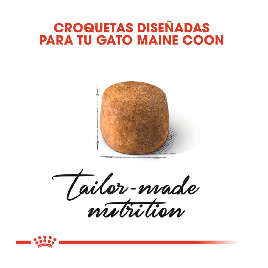 10 kg Royal Canin Adult Maine Coon pienso para gatos, , large indicador imagen numero 5