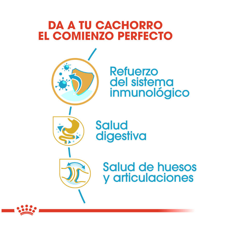 12 kg Royal Canin Puppy Bulldog pienso para perros, , large indicador imagen numero 7