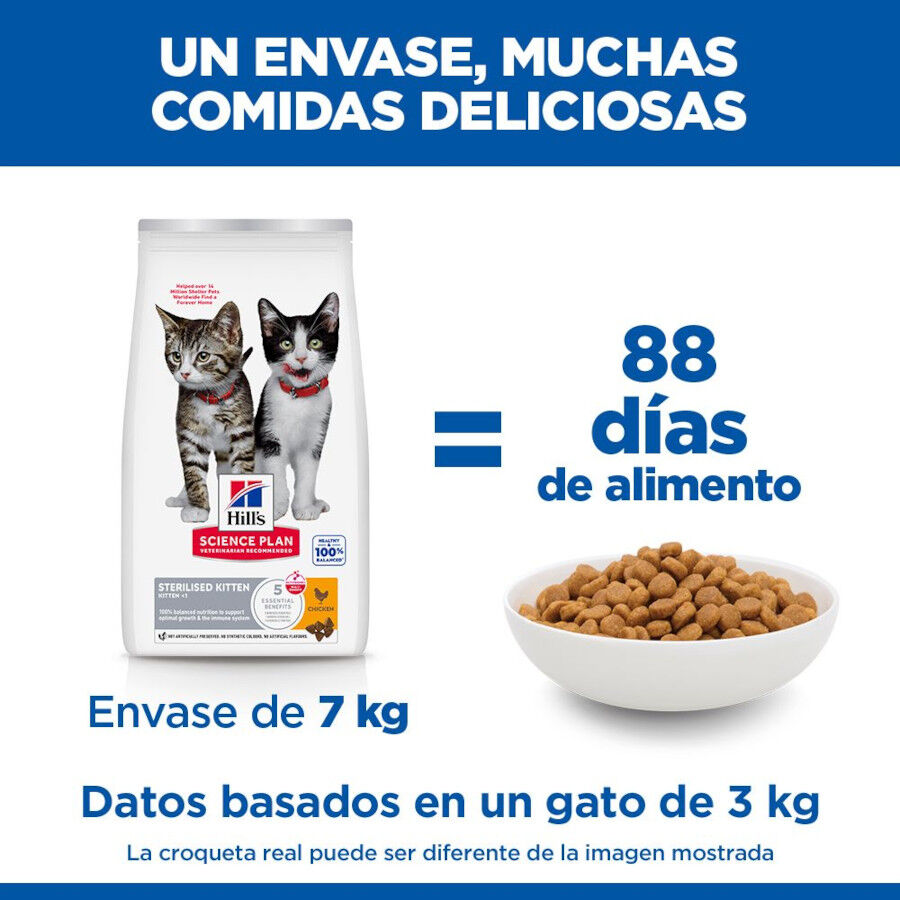 3 kg Hill's Science Plan Sterilised Kitten Pollo pienso para gatos, , large Imagen numero 6