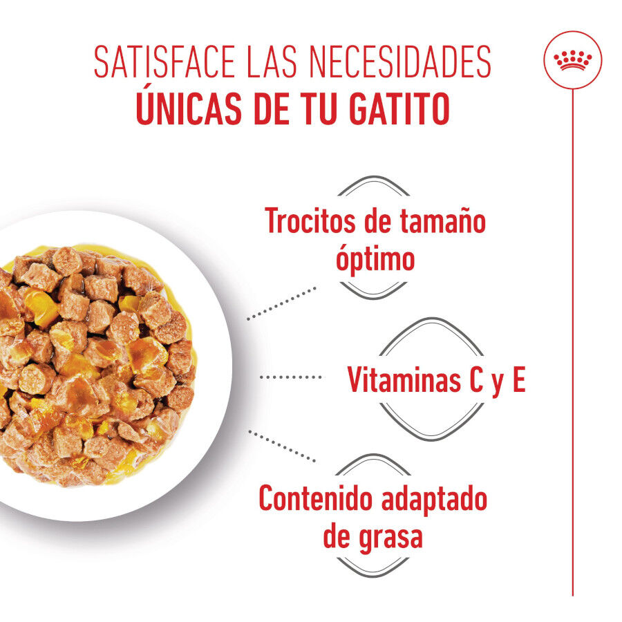 85 g Royal Canin Kitten Sterilised gelatina para gatos, , large indicador imagen numero 4