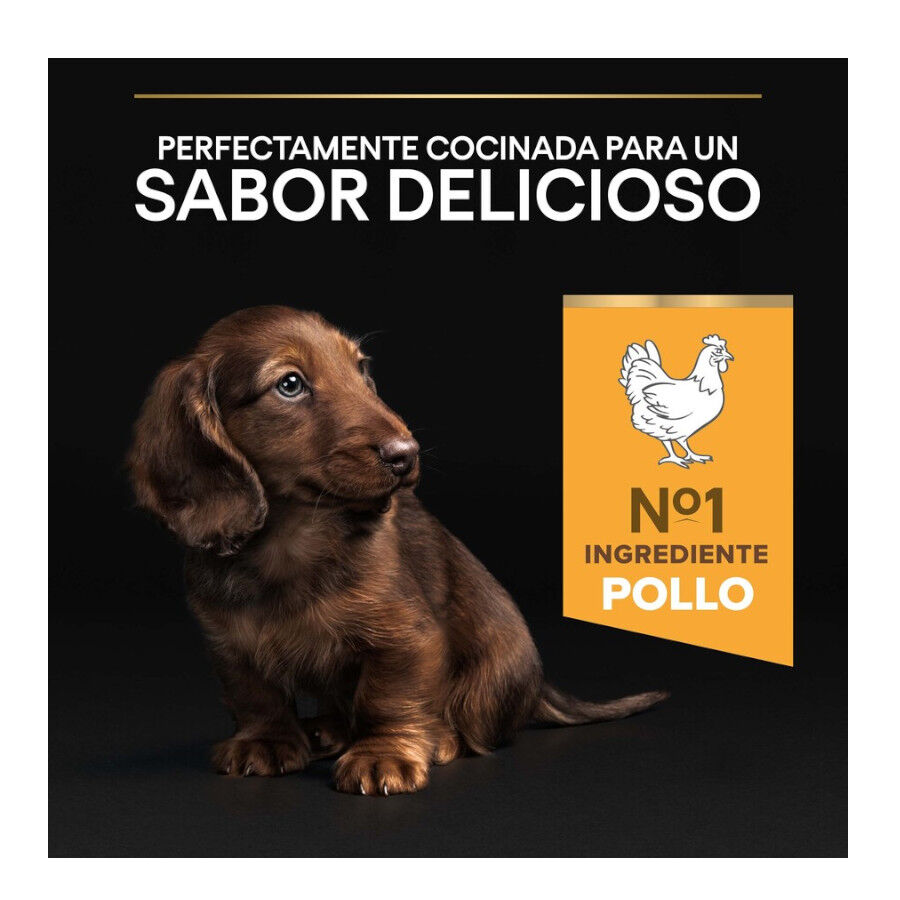 3 kg Pro Plan Puppy Small y Mini Pollo pienso para perros, , large Imagen numero 8