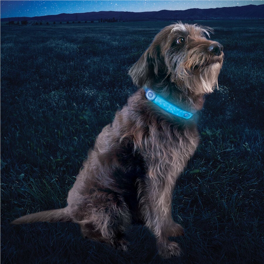 Nite Ize NiteDog Banda LED Recargable para perros, , large indicador imagen numero 5